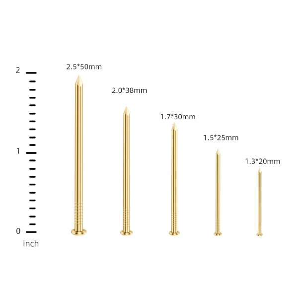 Mellewell 2 Inch Gold Hardware Nails Round Head Small Size 200 pcs-1